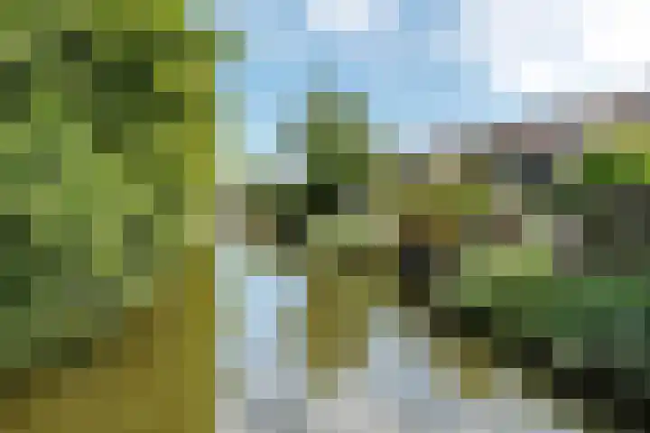 Arica 123 Capelle aan den IJssel thumbnail 36