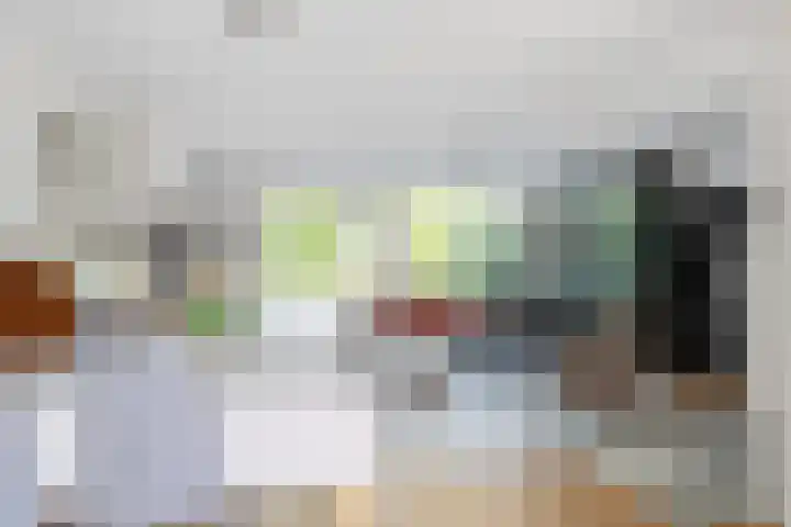 Arica 123 Capelle aan den IJssel thumbnail 4