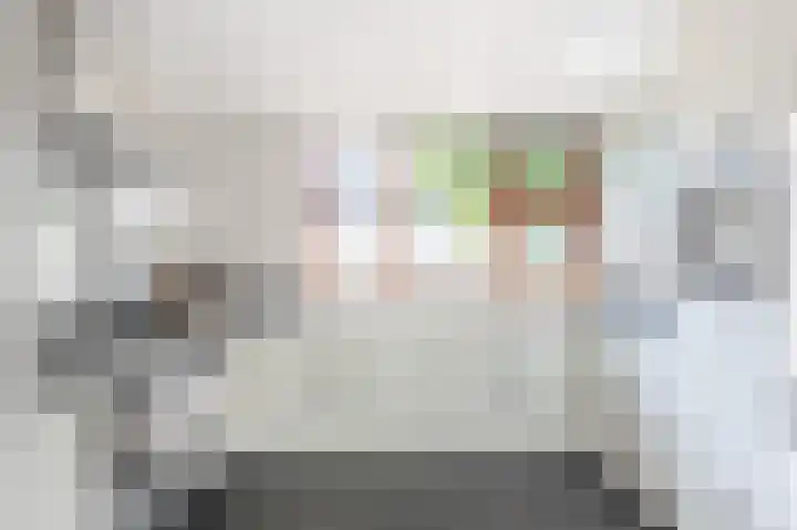 Arica 123 Capelle aan den IJssel thumbnail 7