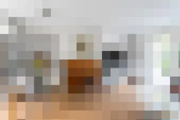 Arica 123 Capelle aan den IJssel thumbnail 8