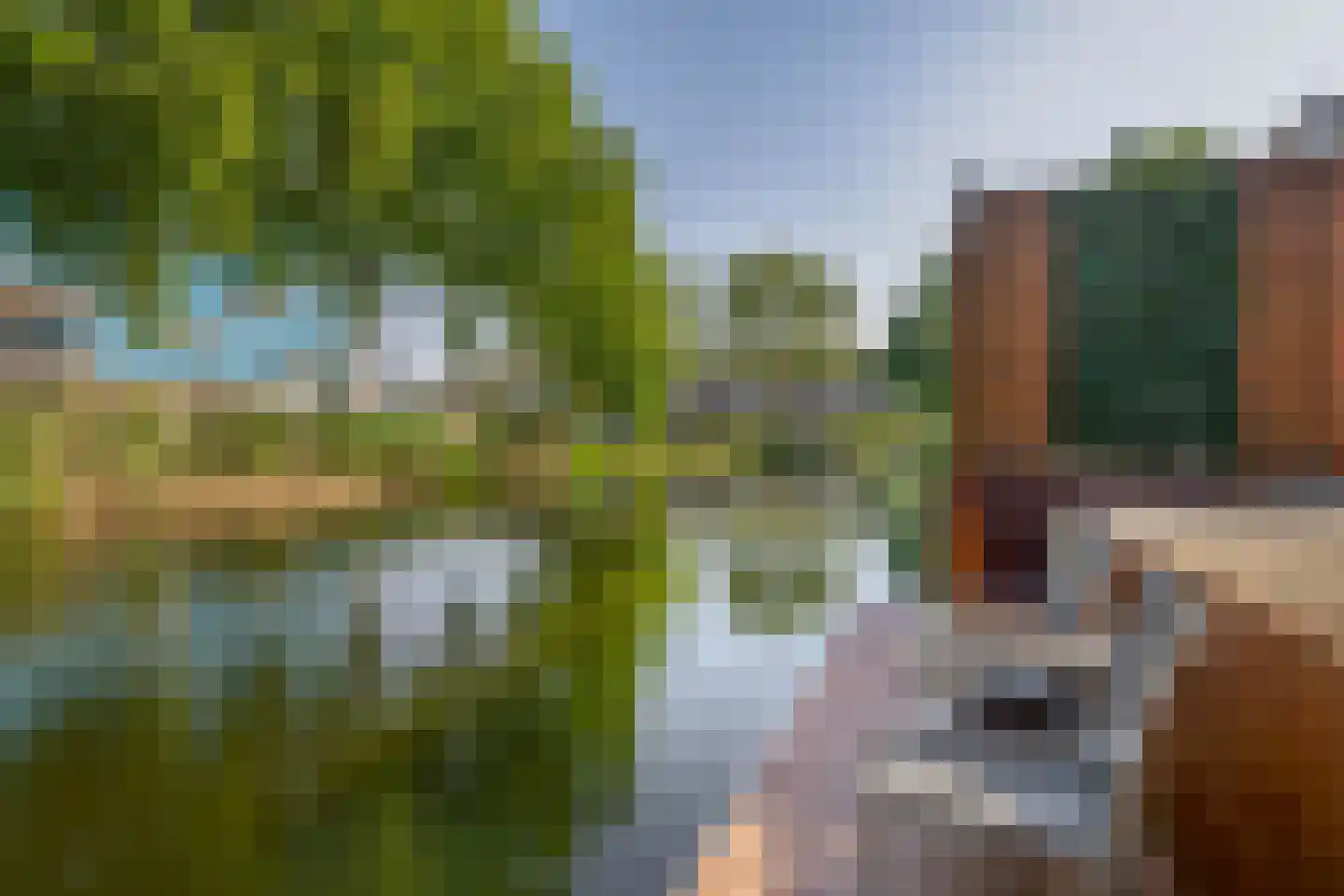 Arica 133 Capelle aan den IJssel thumbnail 36