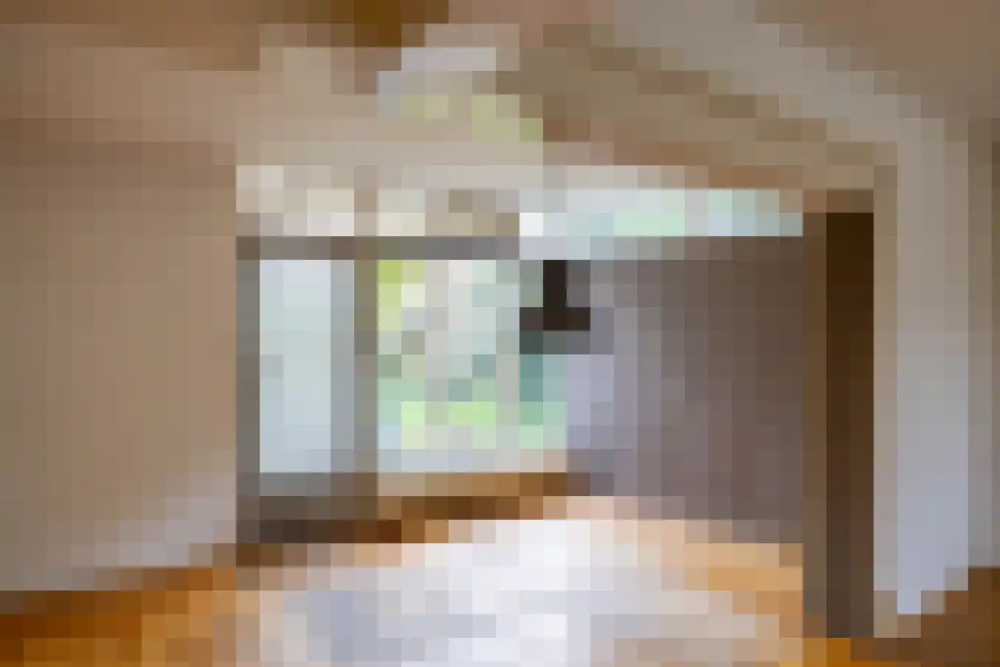 Arie Bosscherstraat 36 Sappemeer thumbnail 13