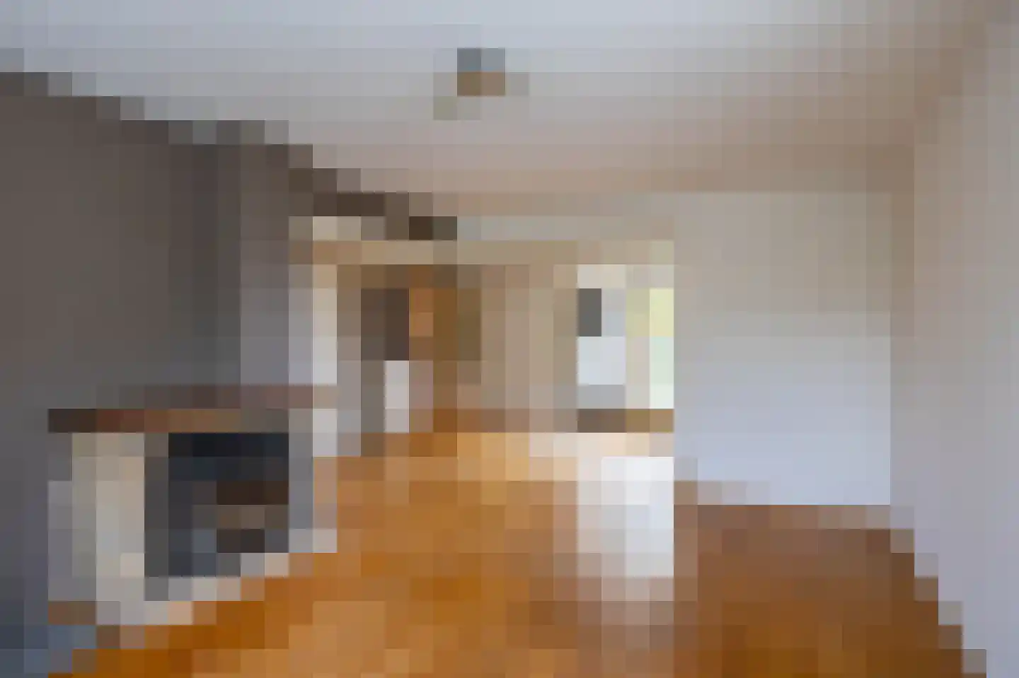 Arie Bosscherstraat 36 Sappemeer thumbnail 15