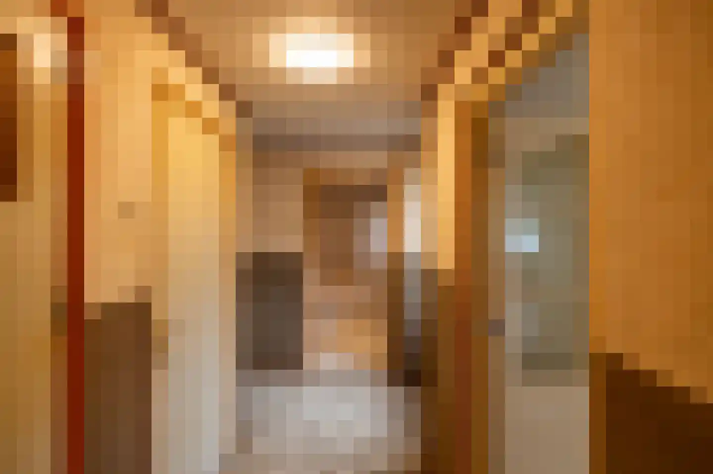 Arie Bosscherstraat 36 Sappemeer thumbnail 18
