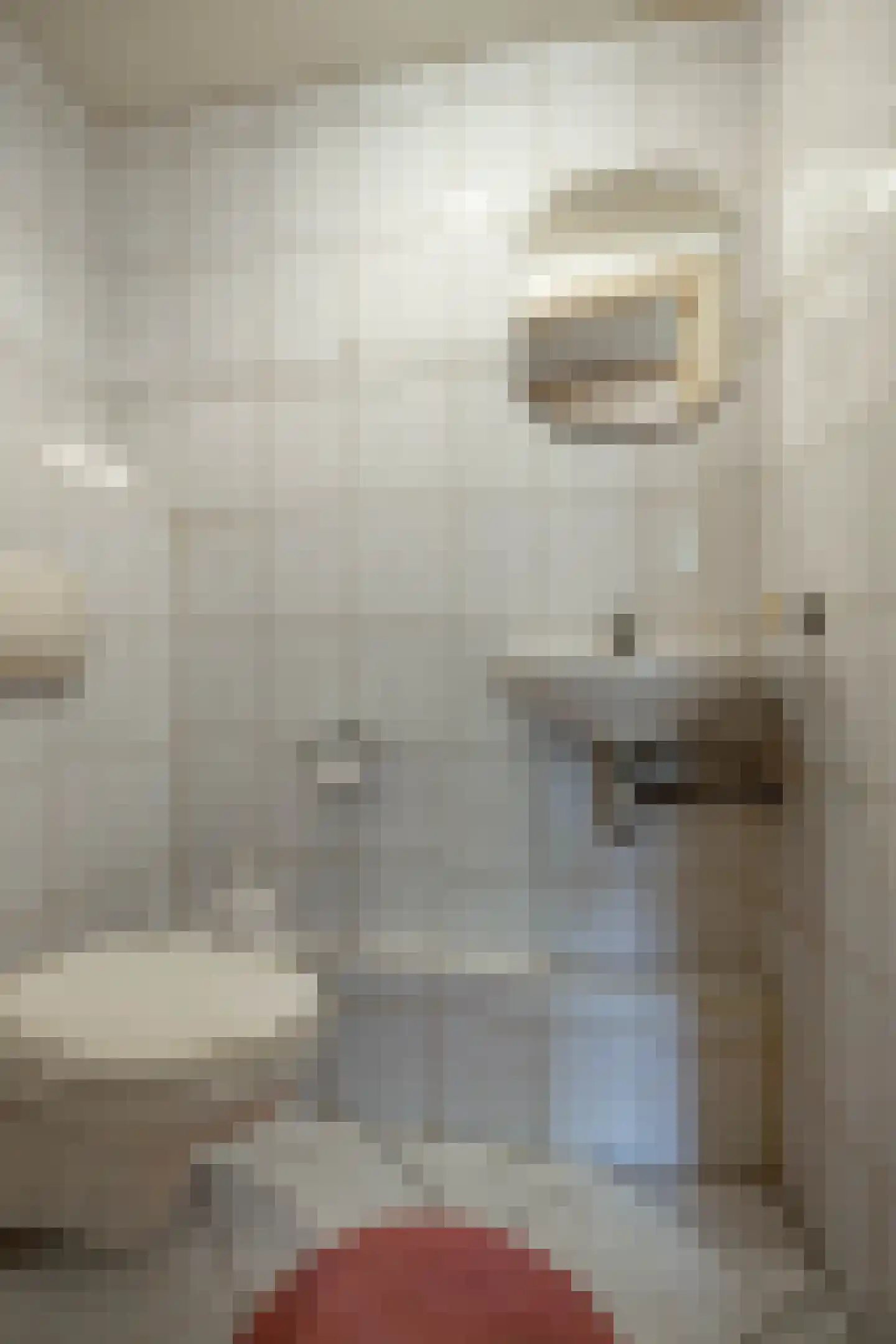 Arie Bosscherstraat 36 Sappemeer thumbnail 19