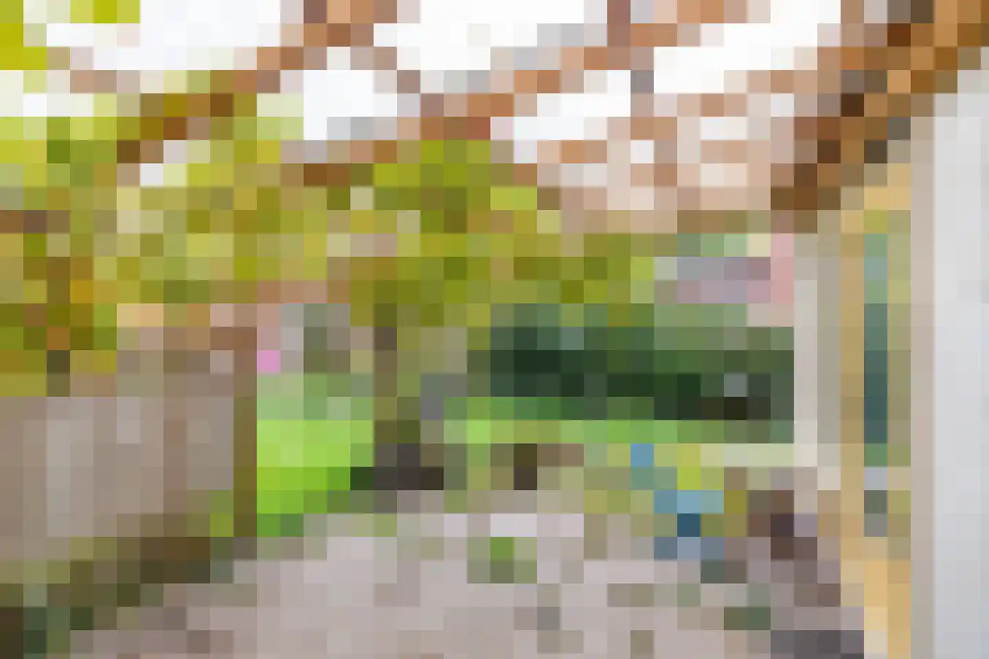 Arie Bosscherstraat 36 Sappemeer thumbnail 28