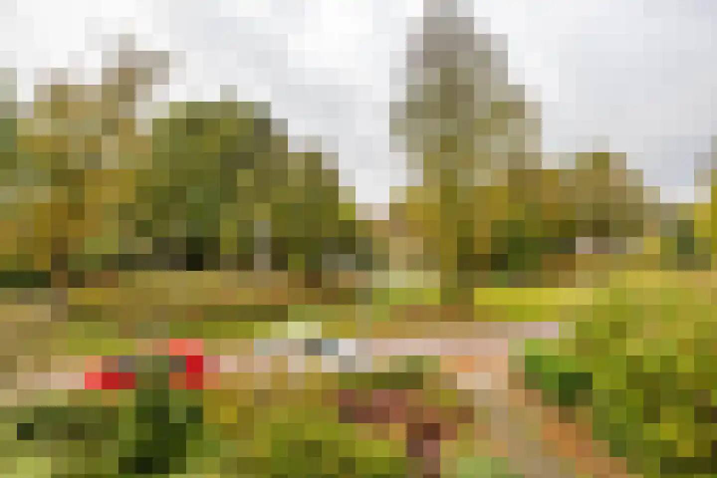 Arie Bosscherstraat 36 Sappemeer thumbnail 33