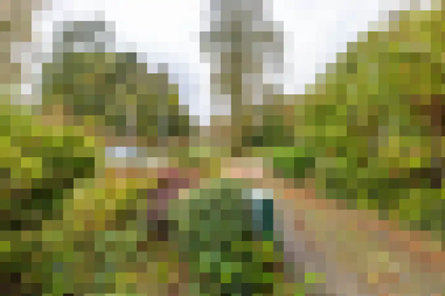 Arie Bosscherstraat 36 Sappemeer thumbnail 7