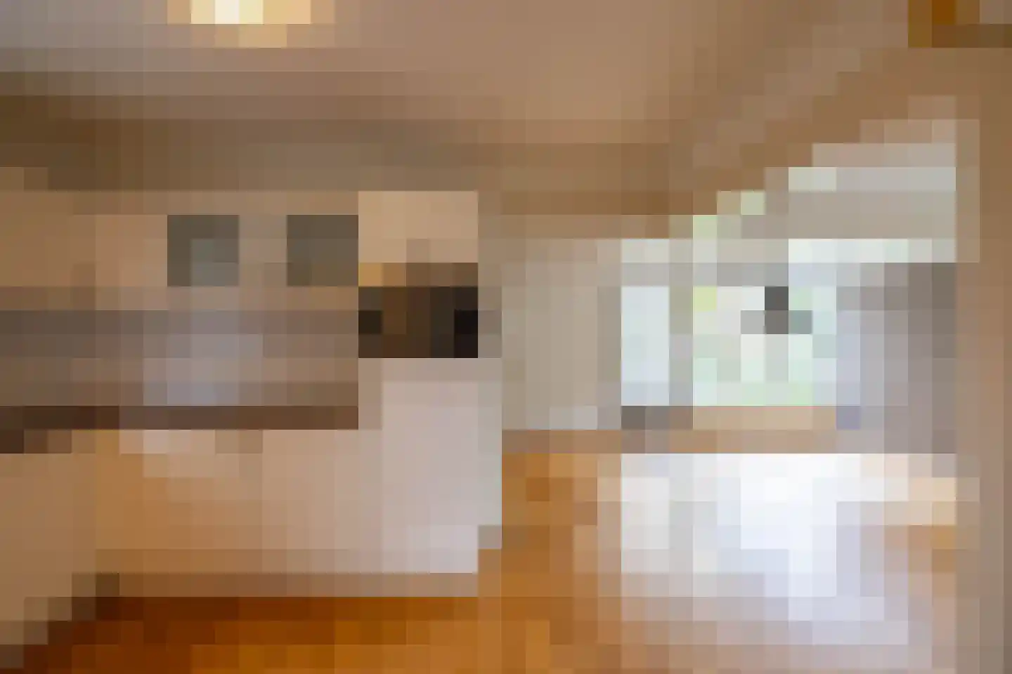 Arie Bosscherstraat 36 Sappemeer thumbnail 9