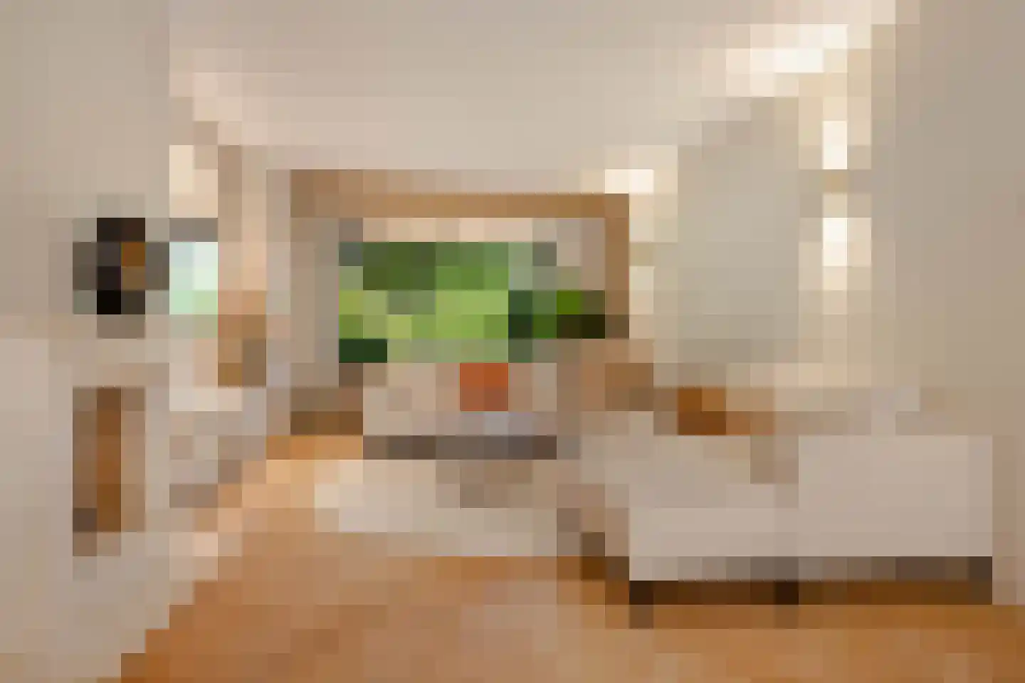 Arie de Waalstraat 37 Huizen thumbnail 10