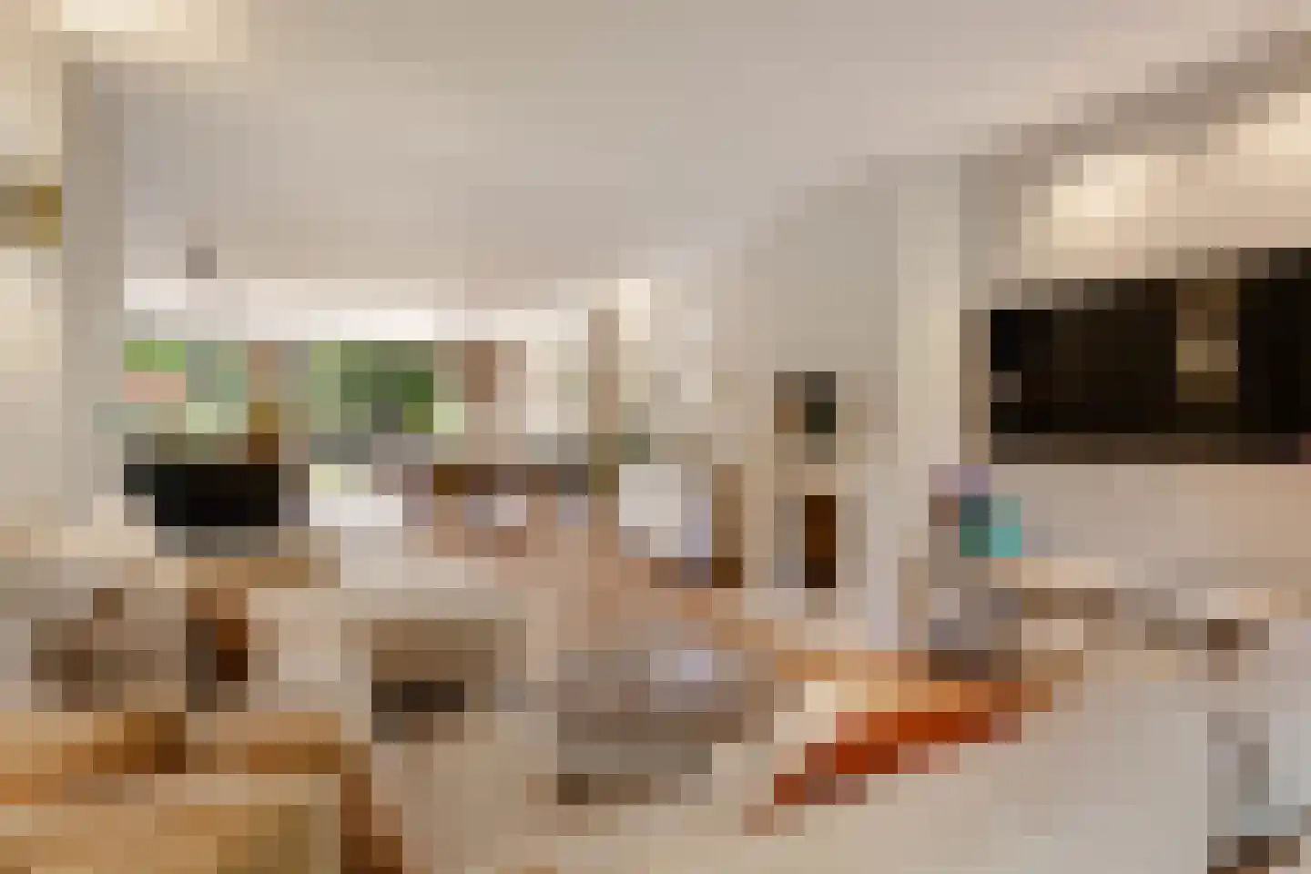 Arie de Waalstraat 37 Huizen thumbnail 14