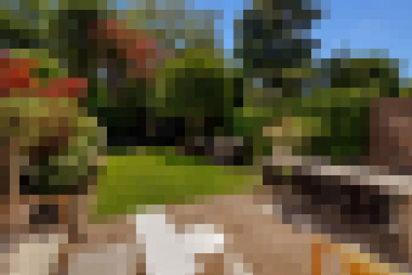Arie de Waalstraat 37 Huizen thumbnail 34