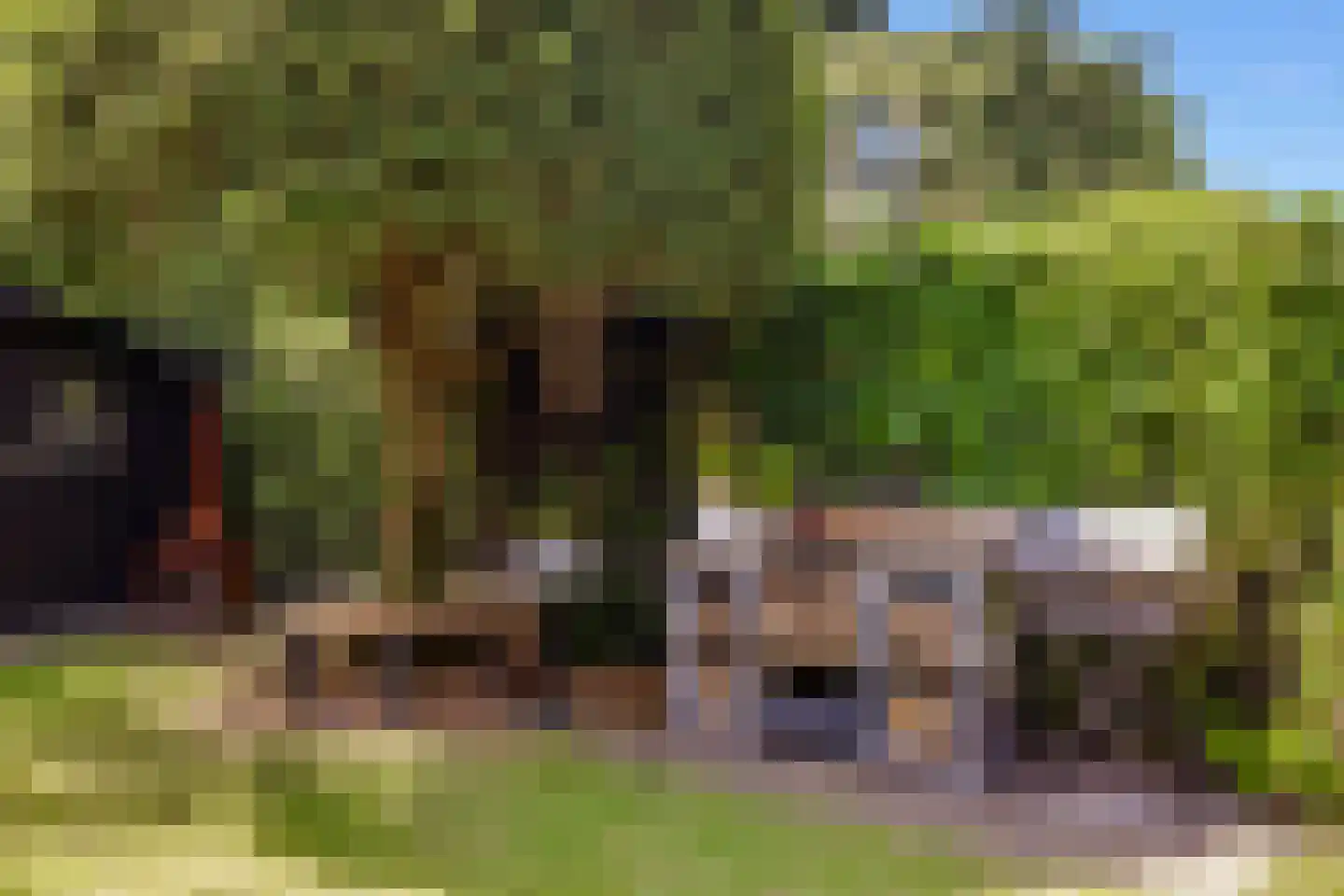 Arie de Waalstraat 37 Huizen thumbnail 37