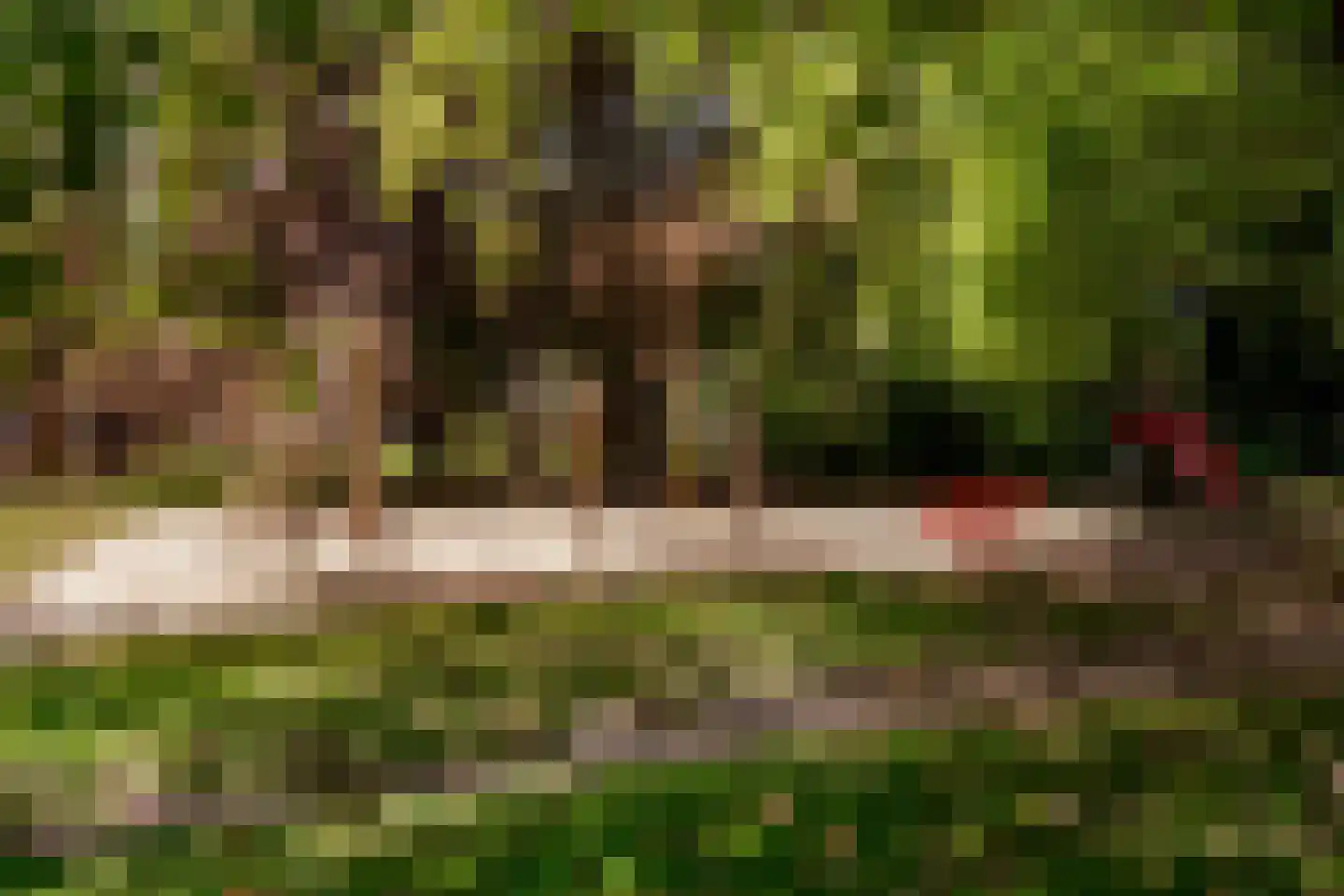 Arie de Waalstraat 37 Huizen thumbnail 42