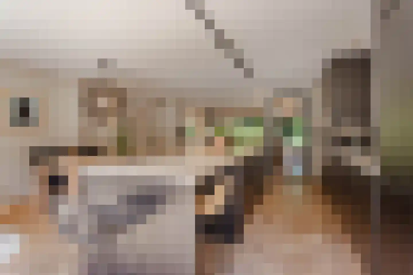 Arie de Waalstraat 37 Huizen thumbnail 6