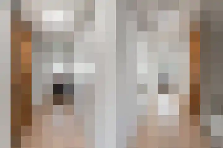 Arie de Zeeuwstraat 45 Rotterdam thumbnail 32