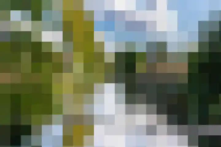 Arie de Zeeuwstraat 45 Rotterdam thumbnail 38
