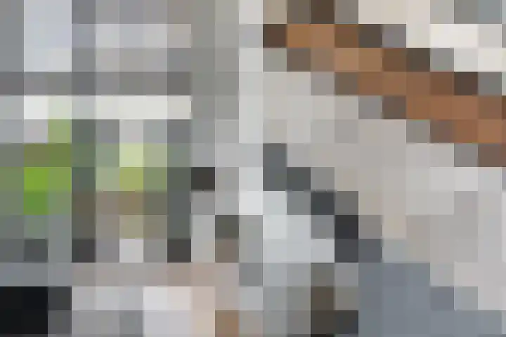 Arie de Zeeuwstraat 45 Rotterdam thumbnail 8