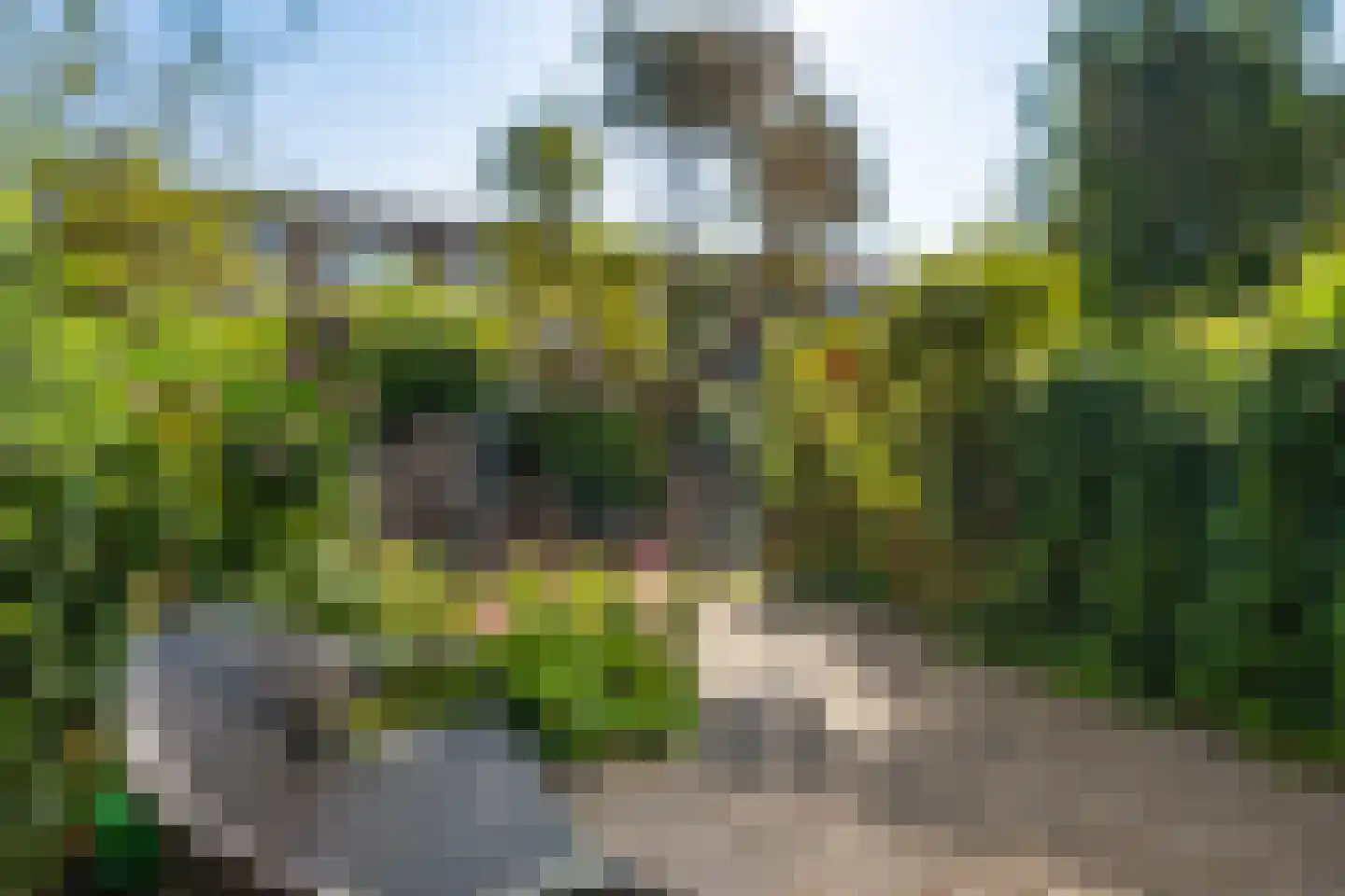 Arie de Zeeuwstraat 9 Rotterdam thumbnail 13