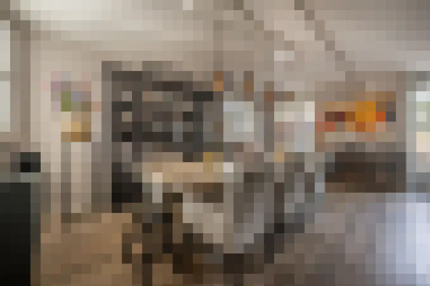 Arie Hoospad 34 Rotterdam thumbnail 10