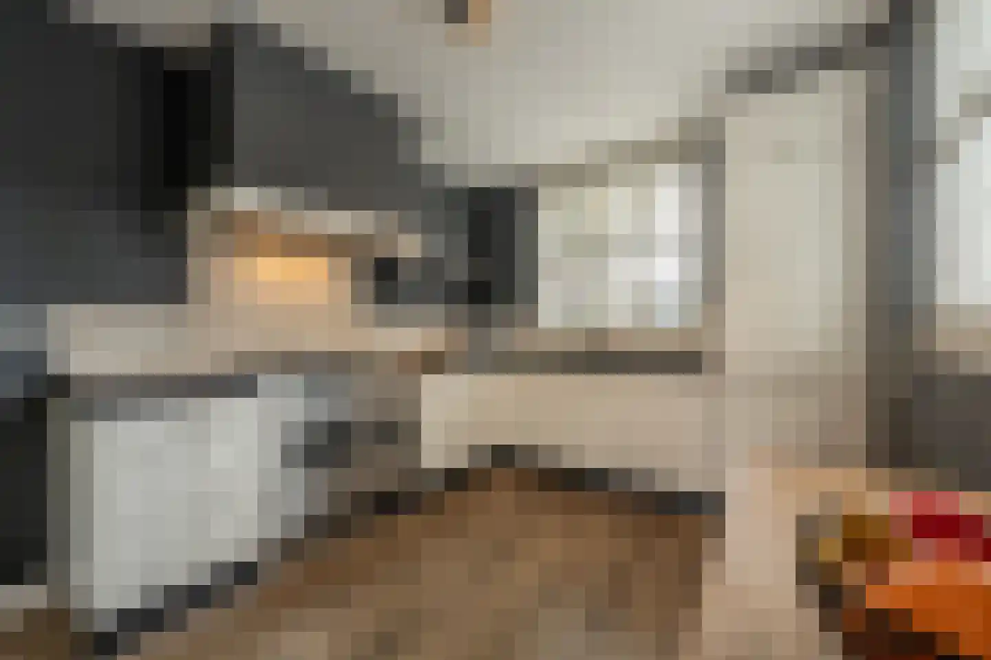 Arie Hoospad 34 Rotterdam thumbnail 12