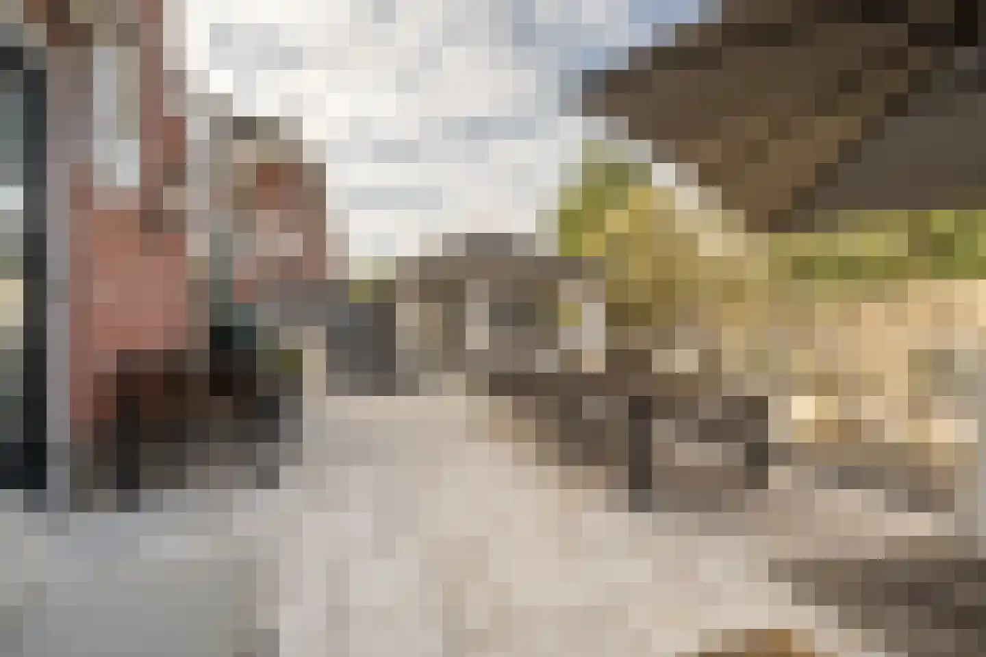 Arie Hoospad 34 Rotterdam thumbnail 37