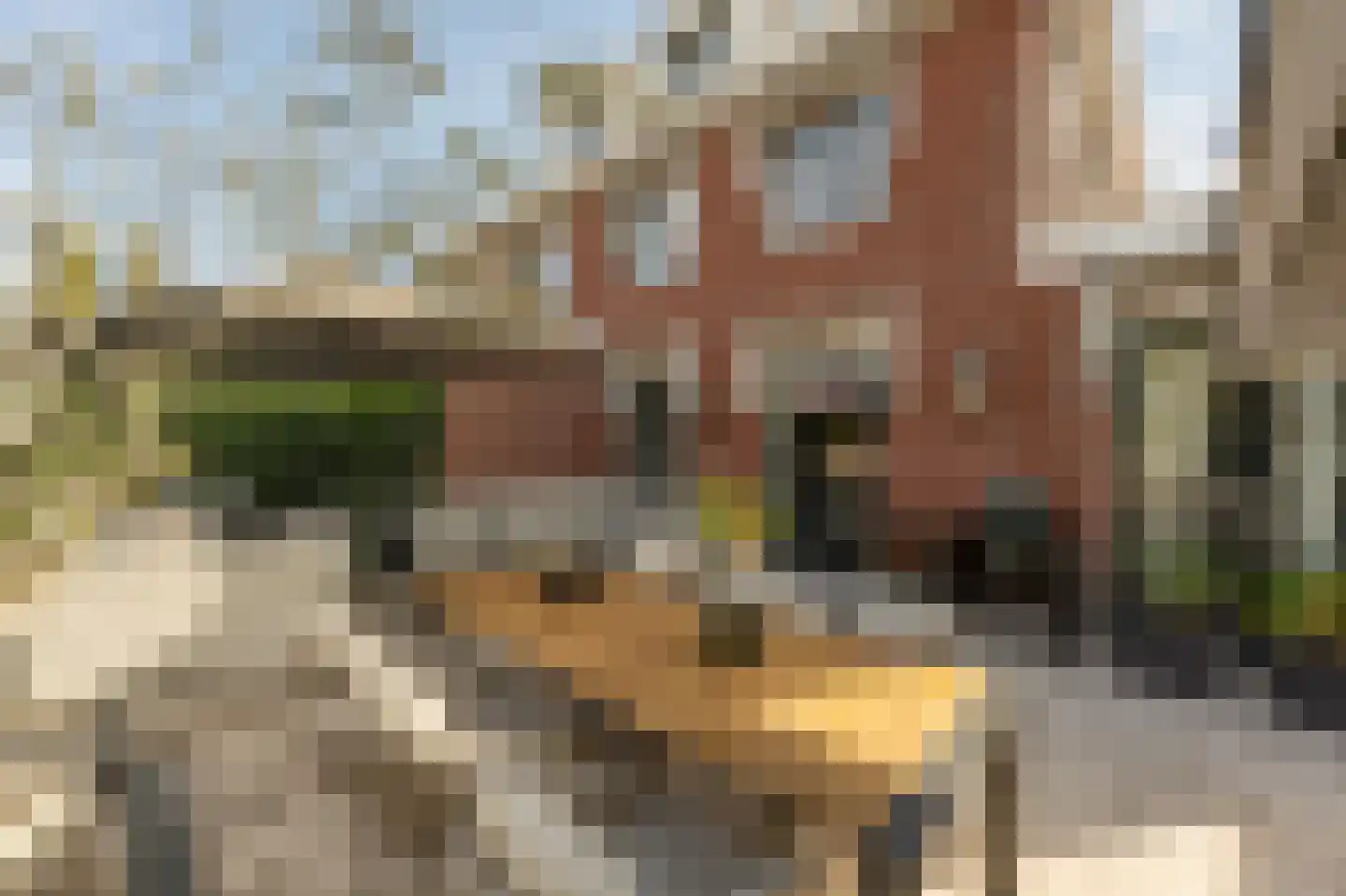 Arie Hoospad 34 Rotterdam thumbnail 40