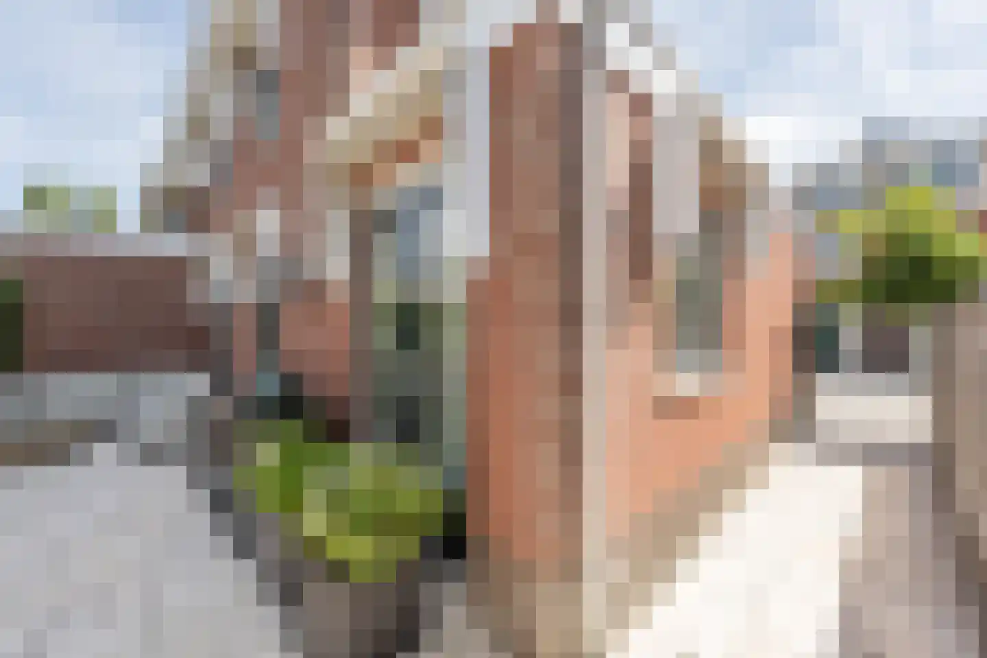 Arie Hoospad 34 Rotterdam thumbnail 40