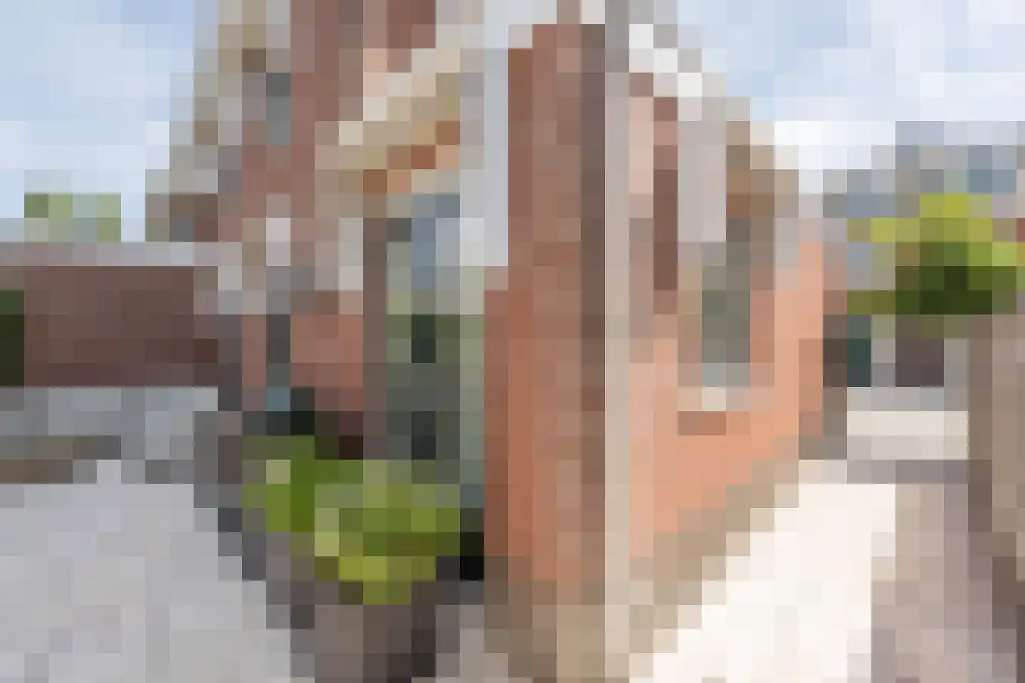 Arie Hoospad 34 Rotterdam thumbnail 40