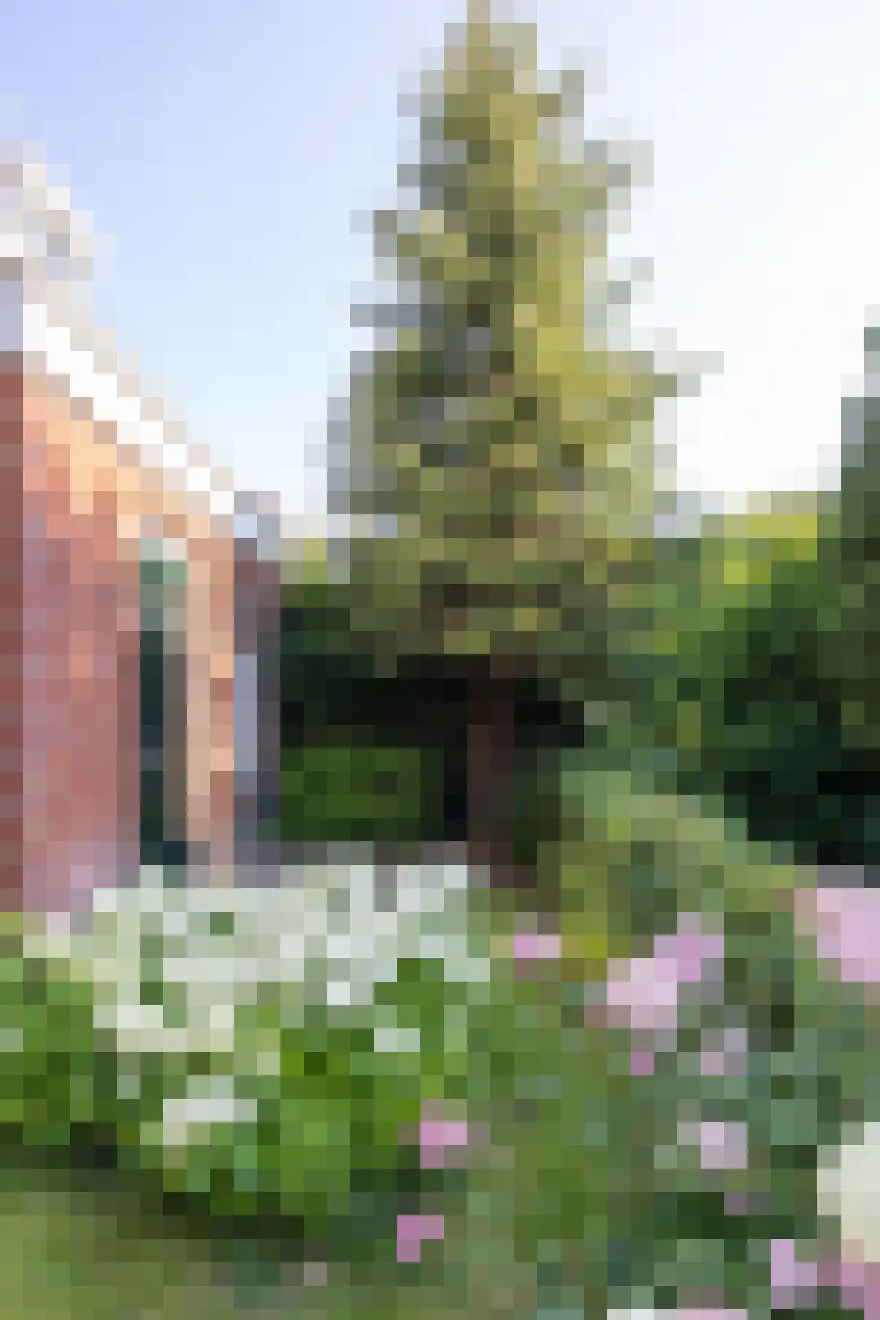 Arie Hoospad 41 Rotterdam thumbnail 33
