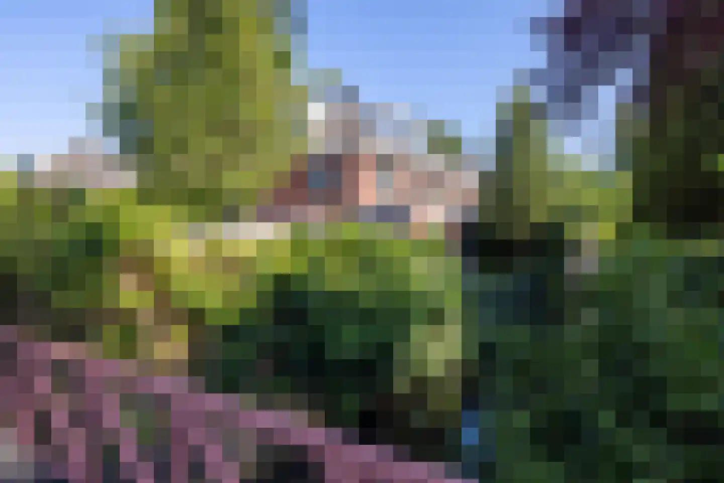 Arie Hoospad 41 Rotterdam thumbnail 39
