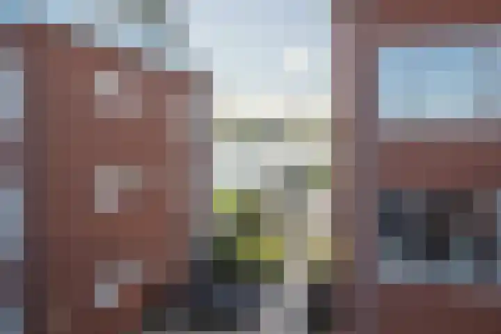 Arie Jacob van Ogtenstraat 37 Ochten thumbnail 41