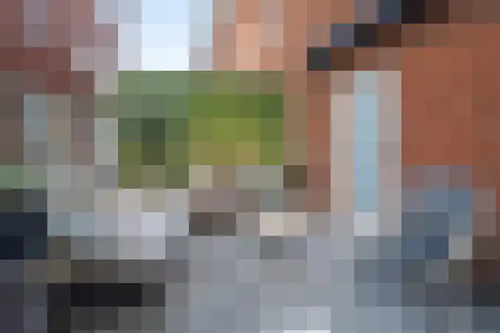 Arie Jacob van Ogtenstraat 37 Ochten thumbnail 8