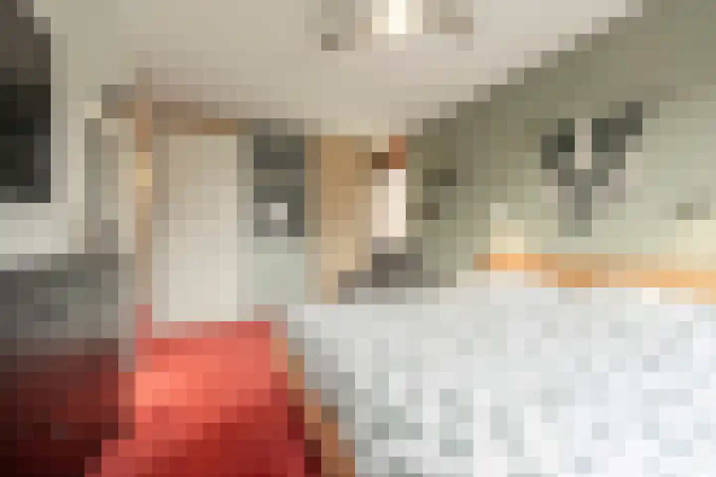 Arie Jongekrijgstraat 2 Heinenoord thumbnail 16
