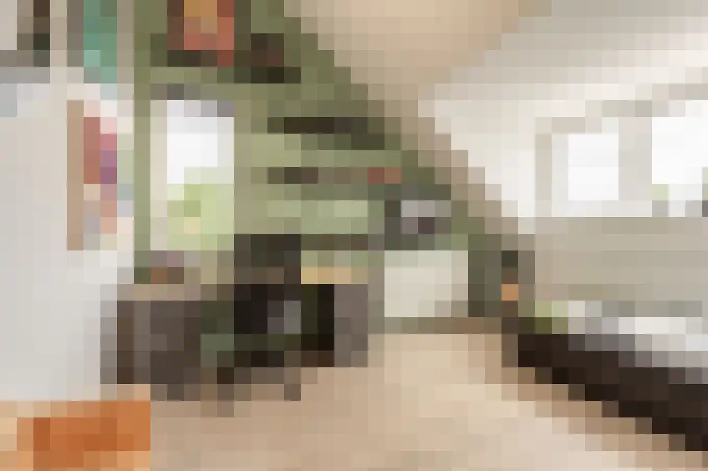 Arie Jongekrijgstraat 2 Heinenoord thumbnail 28