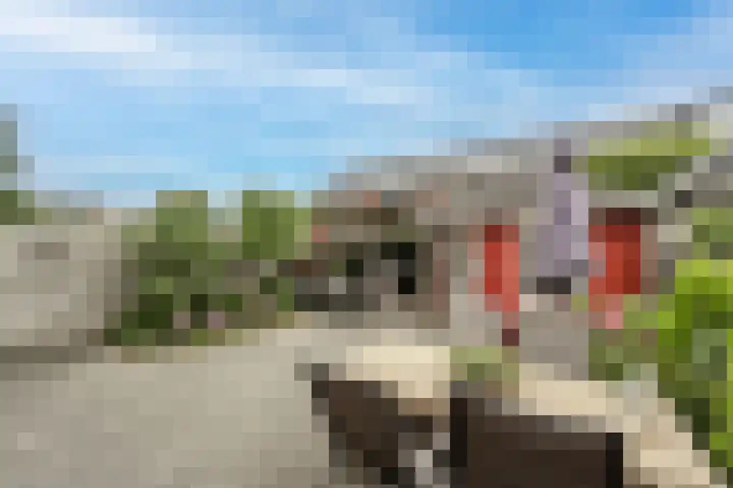 Arie Jongekrijgstraat 2 Heinenoord thumbnail 31