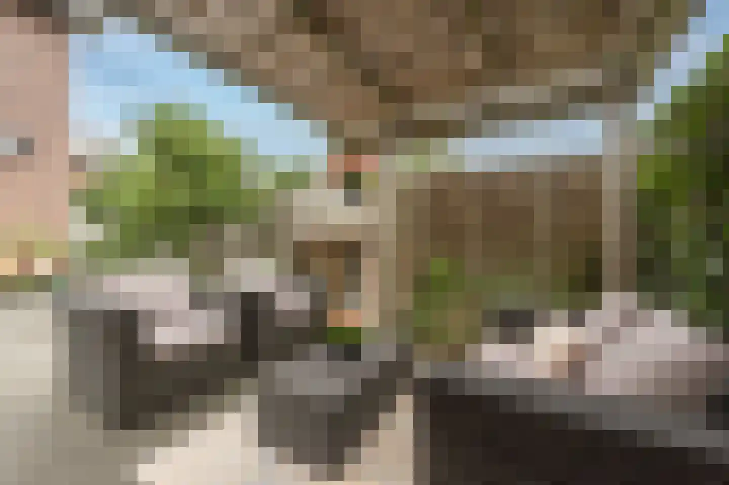 Arie Jongekrijgstraat 2 Heinenoord thumbnail 34