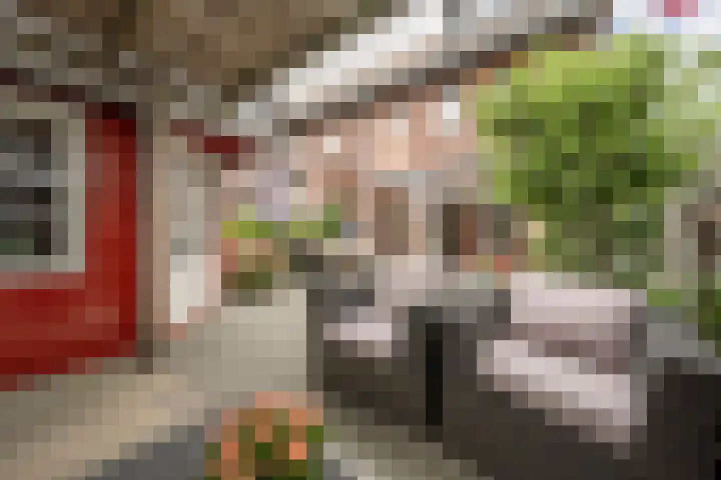 Arie Jongekrijgstraat 2 Heinenoord thumbnail 35