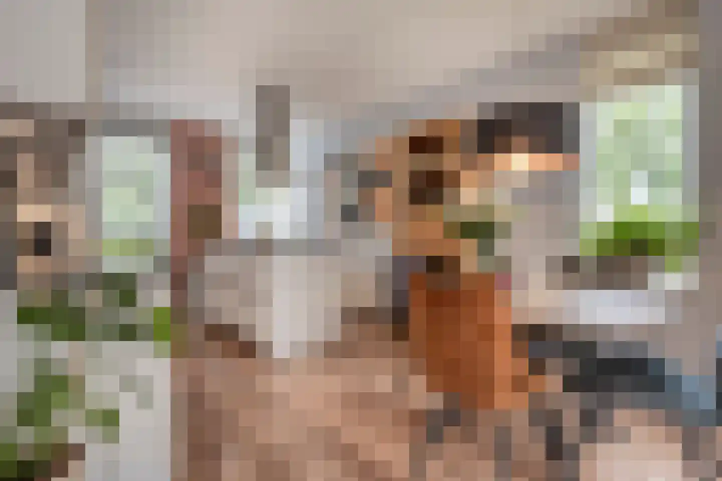 Arie Jongekrijgstraat 2 Heinenoord thumbnail 7