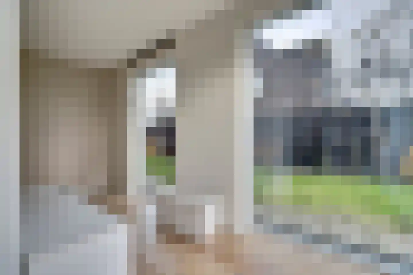 Arie Kempkesweg 102 Waddinxveen thumbnail 18