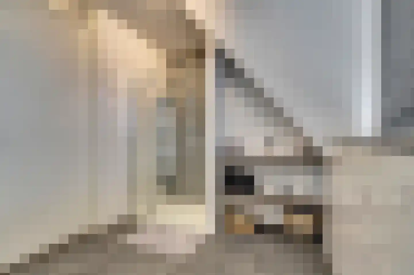 Arie Kempkesweg 102 Waddinxveen thumbnail 43
