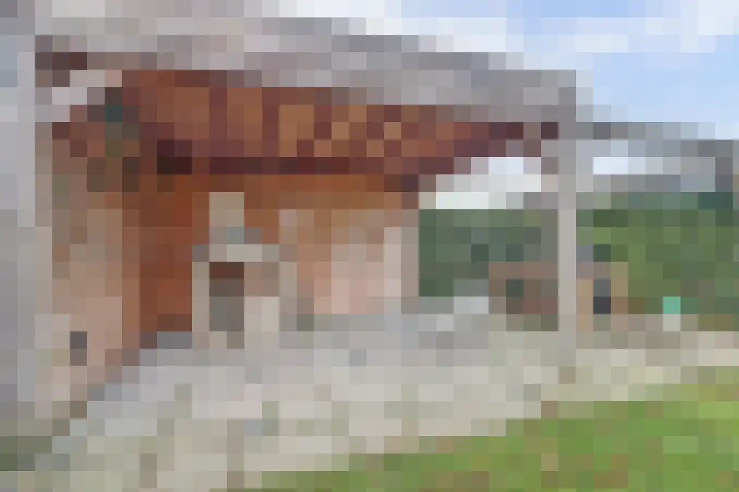 Arie Kempkesweg 102 Waddinxveen thumbnail 55