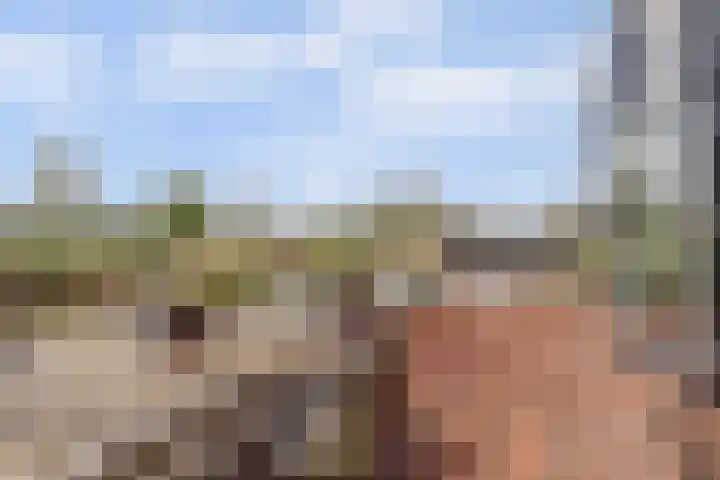 Arie Kempkesweg 53 A Waddinxveen thumbnail 20