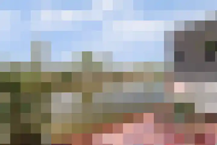 Arie Kempkesweg 53 A Waddinxveen thumbnail 22