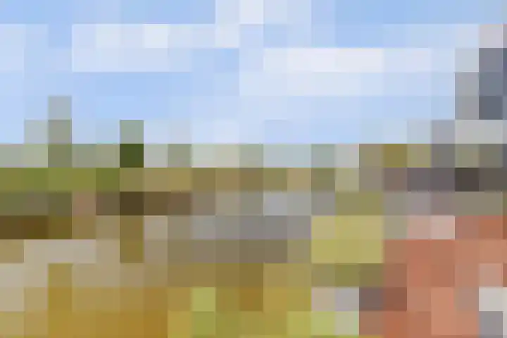 Arie Kempkesweg 53 A Waddinxveen thumbnail 25