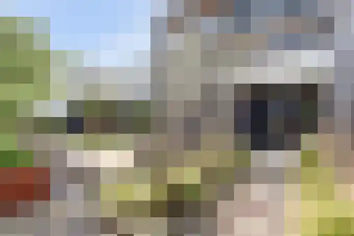 Arie Kempkesweg 53 A Waddinxveen thumbnail 7