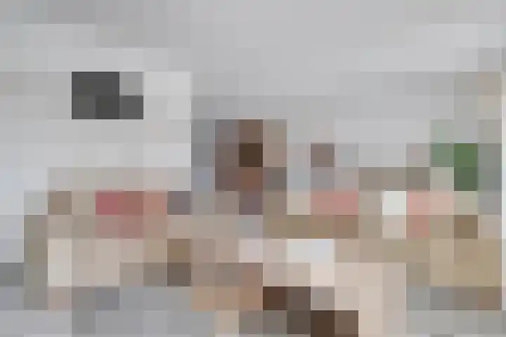 Arie Kempkesweg 72 Waddinxveen thumbnail 12