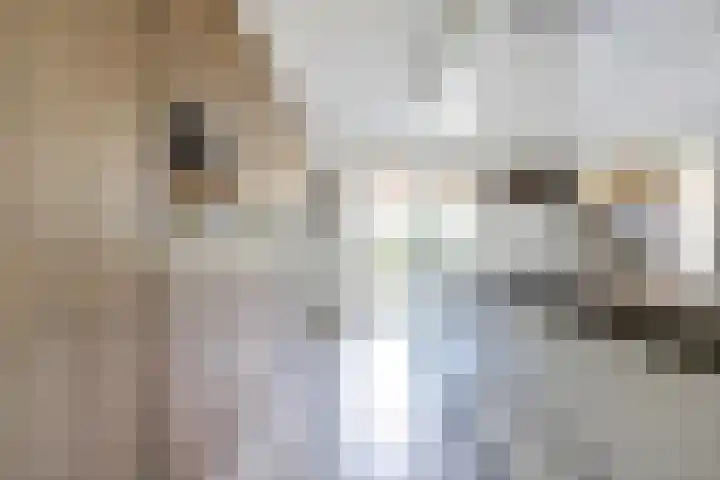 Arie Kempkesweg 72 Waddinxveen thumbnail 17