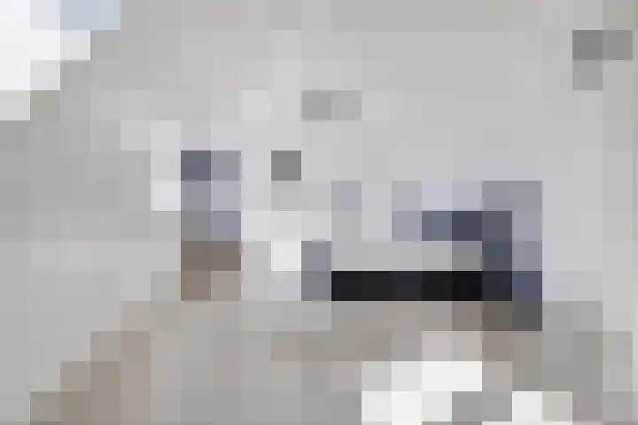 Arie Kempkesweg 72 Waddinxveen thumbnail 22
