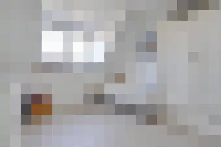 Arie Kempkesweg 72 Waddinxveen thumbnail 26